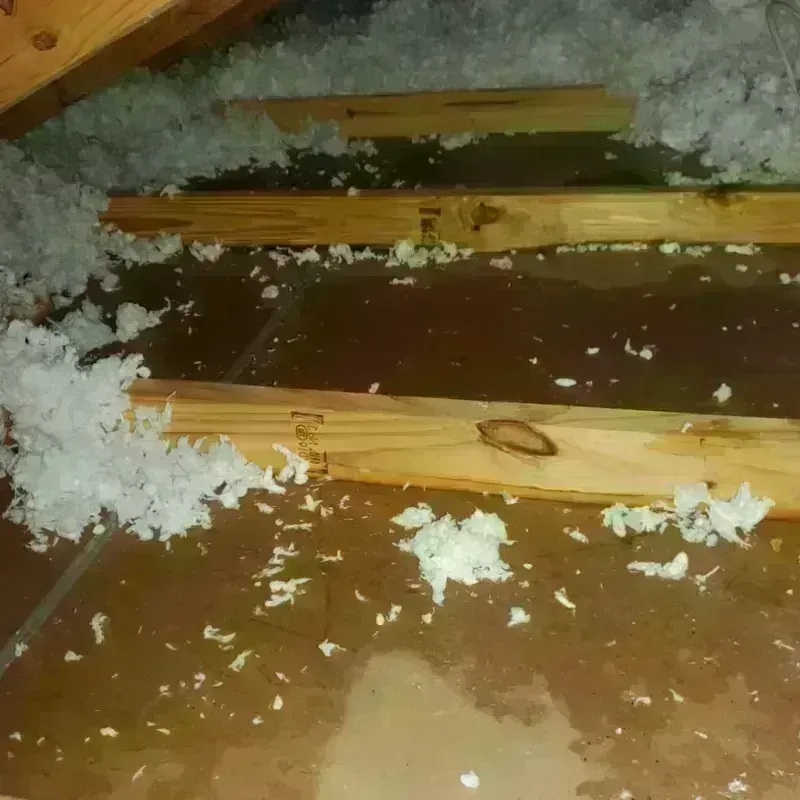 Attic Water Damage in Tulalip Bay, WA