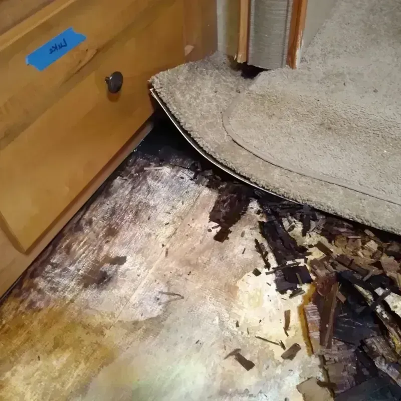 Wood Floor Water Damage in Tulalip Bay, WA